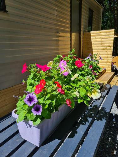 Κήπος έξω από το Unique Caravan with Outdoor Space
