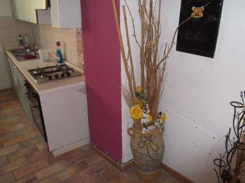 a vase with flowers in the corner of a kitchen at Casa Luzieth in Piani