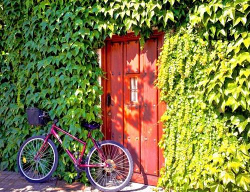 un vélo rose garé devant une porte rouge dans l'établissement Casa Jardín El Arco, à Coca