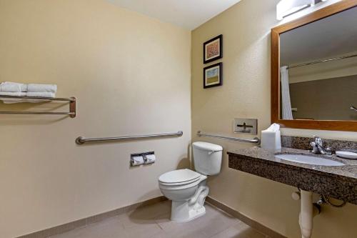 a bathroom with a toilet and a sink and a mirror at Comfort Inn & Suites Ponca City near Marland Mansion in Ponca City