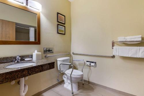 a bathroom with a toilet and a sink and a mirror at Comfort Inn & Suites Ponca City near Marland Mansion in Ponca City