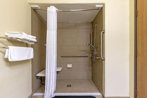 a shower with a shower curtain in a bathroom at Comfort Inn & Suites Ponca City near Marland Mansion in Ponca City