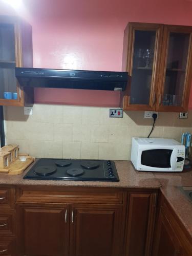 a kitchen with a stove and a microwave at Natural Oak Apartments in Nairobi