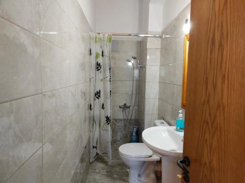 ein Bad mit einer Dusche, einem WC und einem Waschbecken in der Unterkunft Manto House - Amalia Apartment in Káto Figália