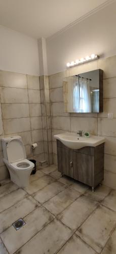 a bathroom with a toilet and a sink and a mirror at Elena's Apartments Corfu in Ipsos
