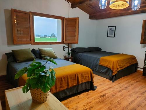 Un dormitorio con 2 camas y una mesa con una planta en Masia Sisqueta en Els Muntells