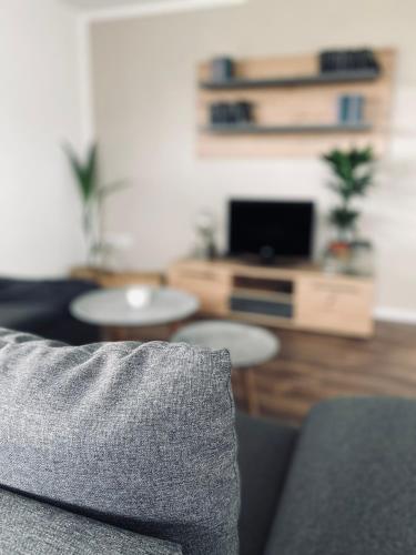 TV a/nebo společenská místnost v ubytování [E]ifeel like Home