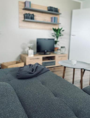 TV a/nebo společenská místnost v ubytování [E]ifeel like Home