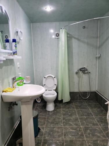 a bathroom with a toilet and a shower and a sink at Guest House Nanu in Mestia