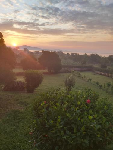 a sunset over a field with flowers in a field at Kaz Breeze Gardens in Kampala