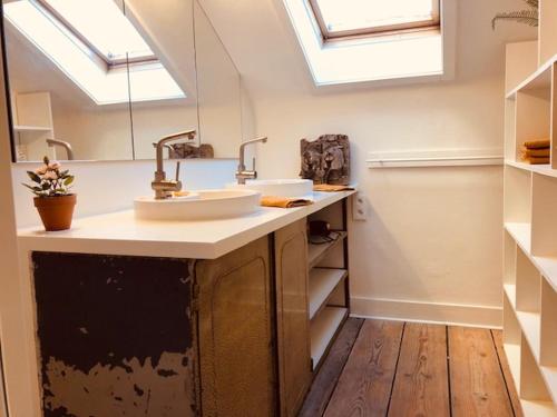 a bathroom with a sink and a mirror at Logies Lapin in Antwerp