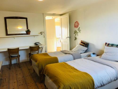 a hotel room with two beds and a mirror at Logies Lapin in Antwerp