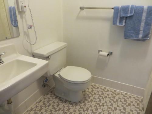 a bathroom with a white toilet and a sink at Country Villa Motel in Tilden