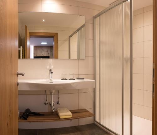 un bagno con lavandino e doccia di Sonnenhang Montafon a Sankt Gallenkirch