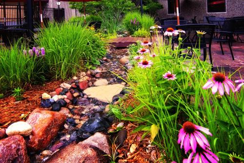 a garden with flowers and rocks in a yard at Centerstone Plaza Hotel Soldiers Field - Mayo Clinic Area in Rochester