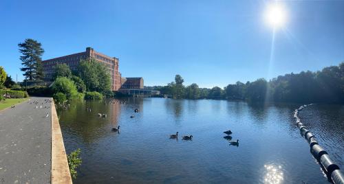 a group of ducks swimming in a river at Fabulous 2 bed Historic Ground floor apartment Belper with free car parking next to property in Belper