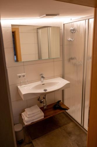 a bathroom with a sink and a shower at Sonnenhang Montafon in Sankt Gallenkirch