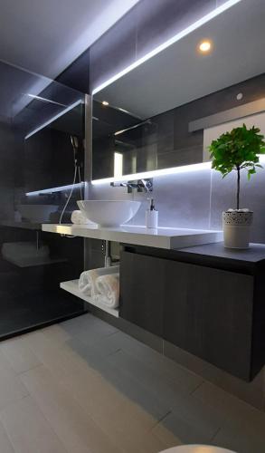 a bathroom with a sink and a potted plant at Villa Regadio in Covilhã