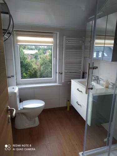 a bathroom with a toilet and a window at Nina in Bad Wildungen
