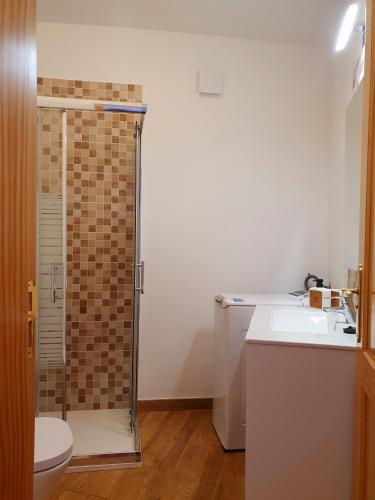 a bathroom with a shower and a toilet and a sink at V.V JUANA in Valverde