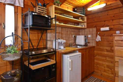a kitchen with a stove and a microwave at בקתות בית מאיר אבירים - זמן בריאה in Abirim