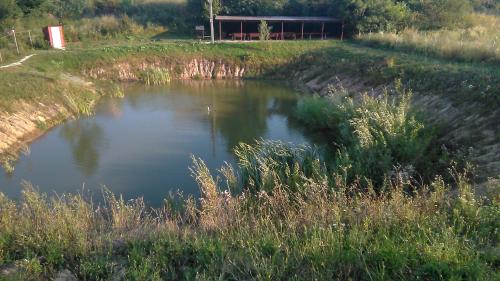 un estanque de agua en medio de un campo en Barbecue House, en Vínnytsia