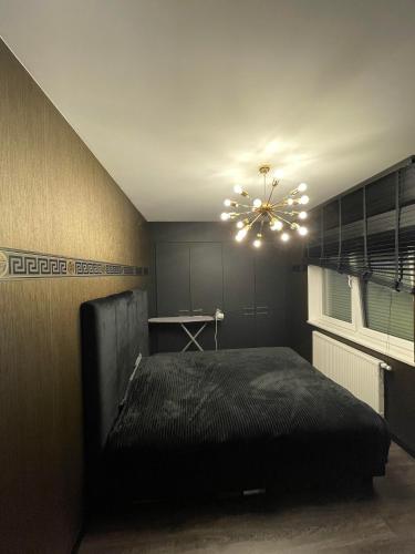 a bedroom with a black bed and a chandelier at Luksusowy Apartament Solankowa Aleja in Inowrocław