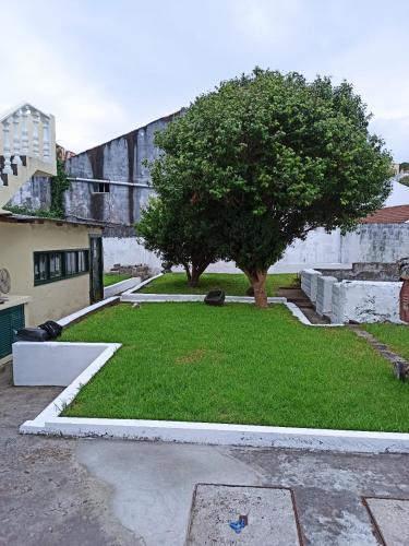 a yard with a tree in the middle of a building at Alojamento Fernandes in Horta