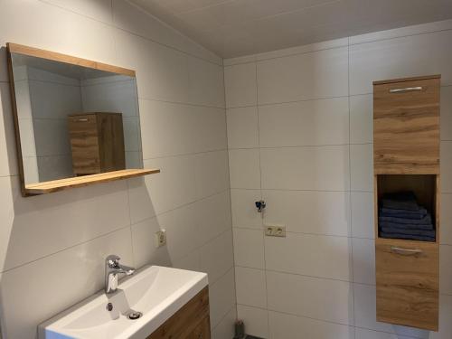 uma casa de banho com um lavatório e um espelho em De Dennen em Odoorn