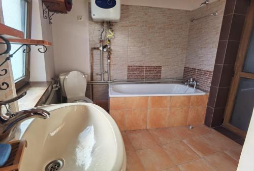 a bathroom with a tub and a toilet and a sink at vila zia in Corbeni