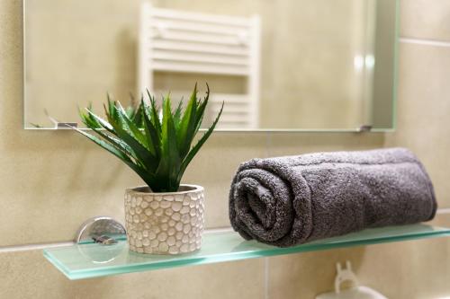 ein Badezimmer mit einem Handtuch und einer Pflanze auf einem Regal in der Unterkunft Hotel und Hostel Gleisbett in Annaberg-Buchholz
