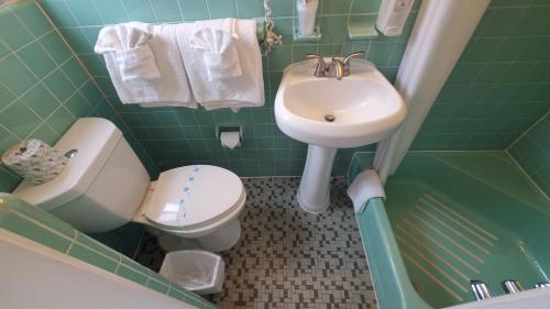 a green bathroom with a sink and a toilet at Sandbox Motel in Wildwood