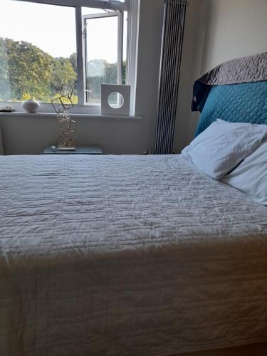 um quarto com uma cama grande e uma janela em SERENITY em Bromley