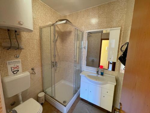 ein Bad mit einer Dusche, einem WC und einem Waschbecken in der Unterkunft Apartman 7- Daniel in Medulin