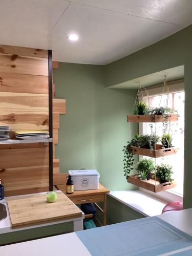 a kitchen with potted plants on the wall at La Fagnoul in Ferrières