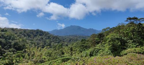 a mountain in the middle of a forest at Cabinas Piuri in Rio Celeste