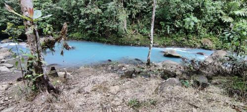 a blue river in the middle of a forest at Cabinas Piuri in Rio Celeste