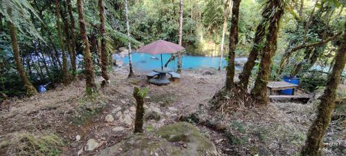 a picnic table with an umbrella next to a pond at Cabinas Piuri in Rio Celeste