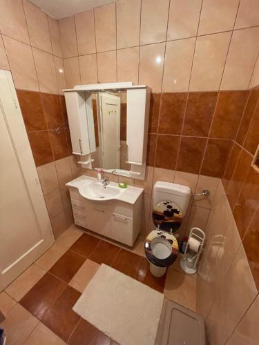 Koupelna v ubytování Apartman Alibi
