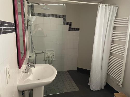 un bagno con lavandino e doccia di Le Maine N 5 - FLÉAC ANGOULEME - Suite Tilleul a Fléac