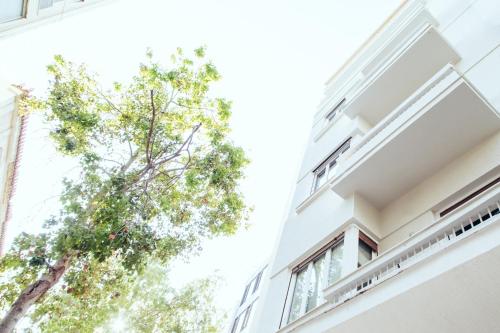 a view from the outside of a white building with trees at we saw athens in Athens
