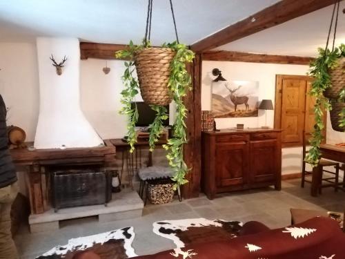 a living room with a fireplace and plants on the walls at La Casetta di Lele e Schina in Arvier