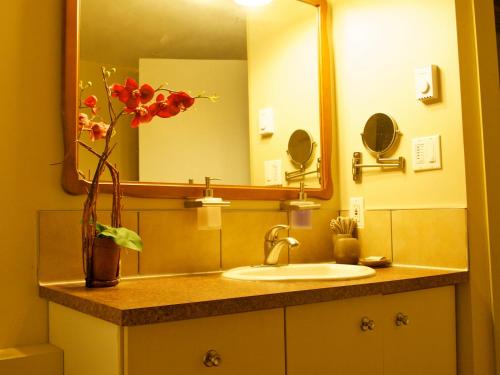 un lavandino in bagno con specchio e un vaso con fiori di YPC Fitness & Accomodations a Invermere
