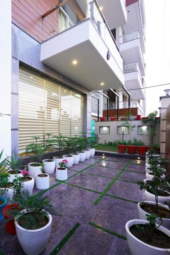 Lime Tree Hotel Pulkit Gurgaon-Artemis Hospital, Nearest Metro Huda City Centre
