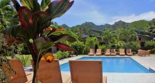 uma piscina num resort com cadeiras e uma planta em Muri Beach Resort em Rarotonga