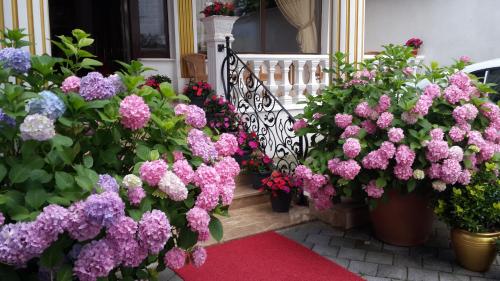 a bunch of flowers in pots on a porch at Termal Elit Hotel in Gokcedere