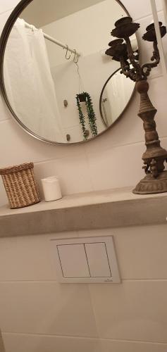 a bathroom with a mirror and a shelf with a plant at Cityclose for five Malmö in Malmö
