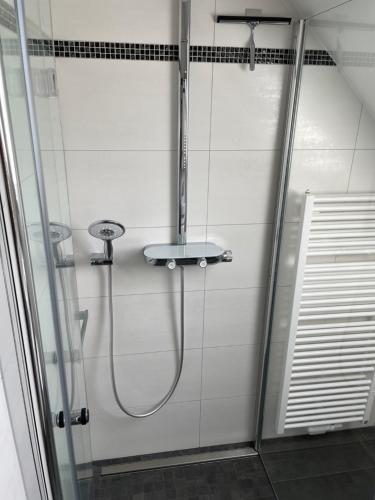a shower in a bathroom with a glass door at Ferienwohnung Geyer in Gräfenhainichen