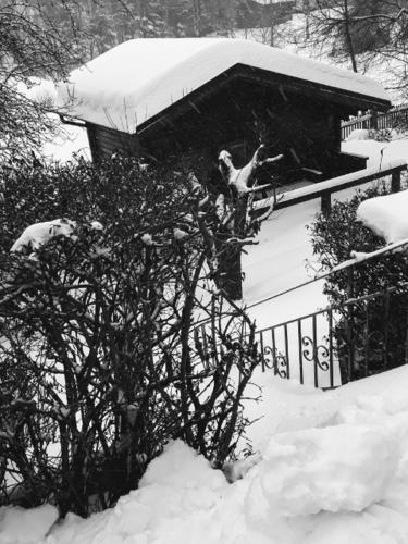 a man flying through the air while riding a snowboard at 3 Sterne Ferienwohnungen Wachter in Bischofsgrün