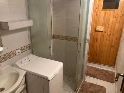 a small bathroom with a shower and a sink at Chalupa na samote in Pliešovce